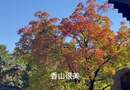 香山