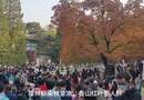 坐西郊线去香山