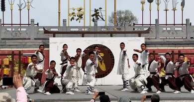 2025河南行番外篇：少林小子功夫表演