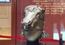 圆明园马首铜像回归展 编导:吴建芬