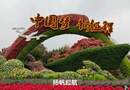建党百年长安街花坛 编导:吴建芬