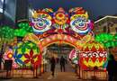 大兴火神庙春风灯会   编导:吴建芬