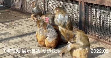 开心就好 编导：侯海涛