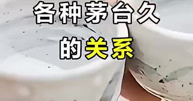 各种茅台酒的关系