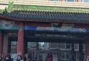西苑医院买酸枣仁的大队伍