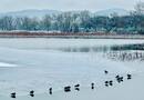 冬天的美需要一场雪，2023年北京第一场雪