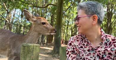 2024日本行4：奈良寻鹿访古