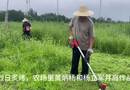 飞宇农场2025年7月3日