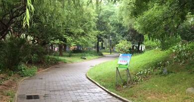 雨中的平谷百亩公园　编导：郭昕炜