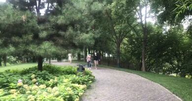 CBD森林公园　编导：吴建芬