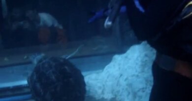 极地馆潜水　编导：卢颖