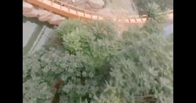 过山车A视角体验（三）编导：成婷婷