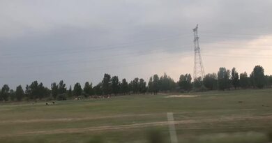 美丽的鄂尔多斯草原　编导：吴建芬