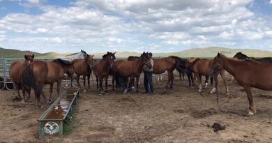 挤马奶　编导：郭昕炜