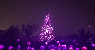 好看的灯光秀　编导：侯海涛