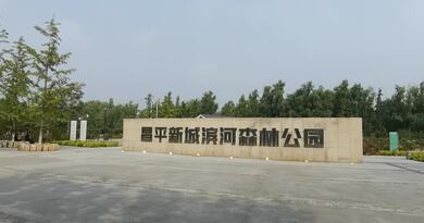 昌平新城滨河森林公园　编导：成婷婷