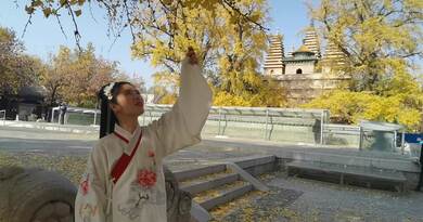 深秋真觉寺　编导：成婷婷