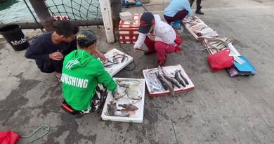 万山见闻三 – 早间鱼市　编导：卢颖 胡忠祥