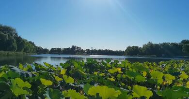 什刹海　编导：成婷婷