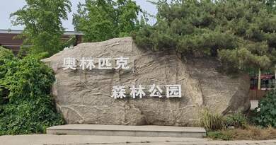 奥林匹克森林公园 编导:吴建芬