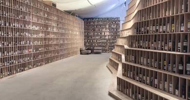 葡萄酒博物馆 编导：郭昕炜