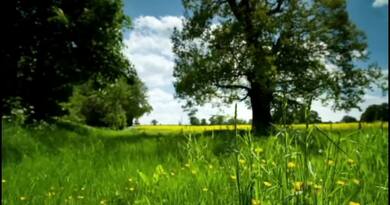 感受自然 编导：郭昕炜