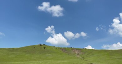 呼伦贝尔大草原我们来啦 编导：侯海涛