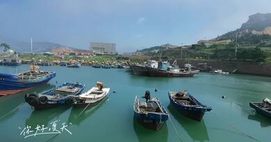 你好，夏天 编导：成婷婷