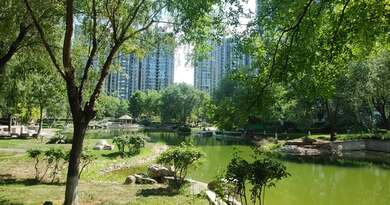 观湖国际    编导:吴建芬