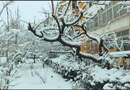 北京初雪    编导:吴建芬