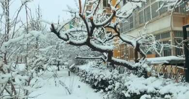 北京初雪    编导:吴建芬