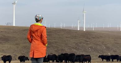 河北自驾塞罕坝红松洼 编导：卢颖