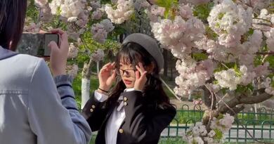 玉渊潭的樱花太美啦 编导：侯海涛