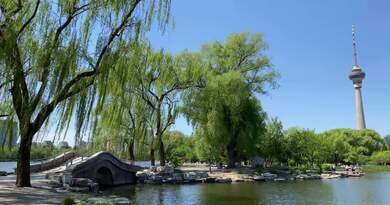 玉渊潭晚春 编导：卢颖