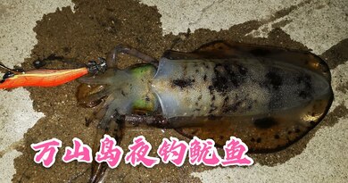 时隔三年重返珠海万山岛，运气尤在，夜钓成功上鱿鱼