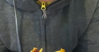 脑花肥肠饼　编导：卢颖